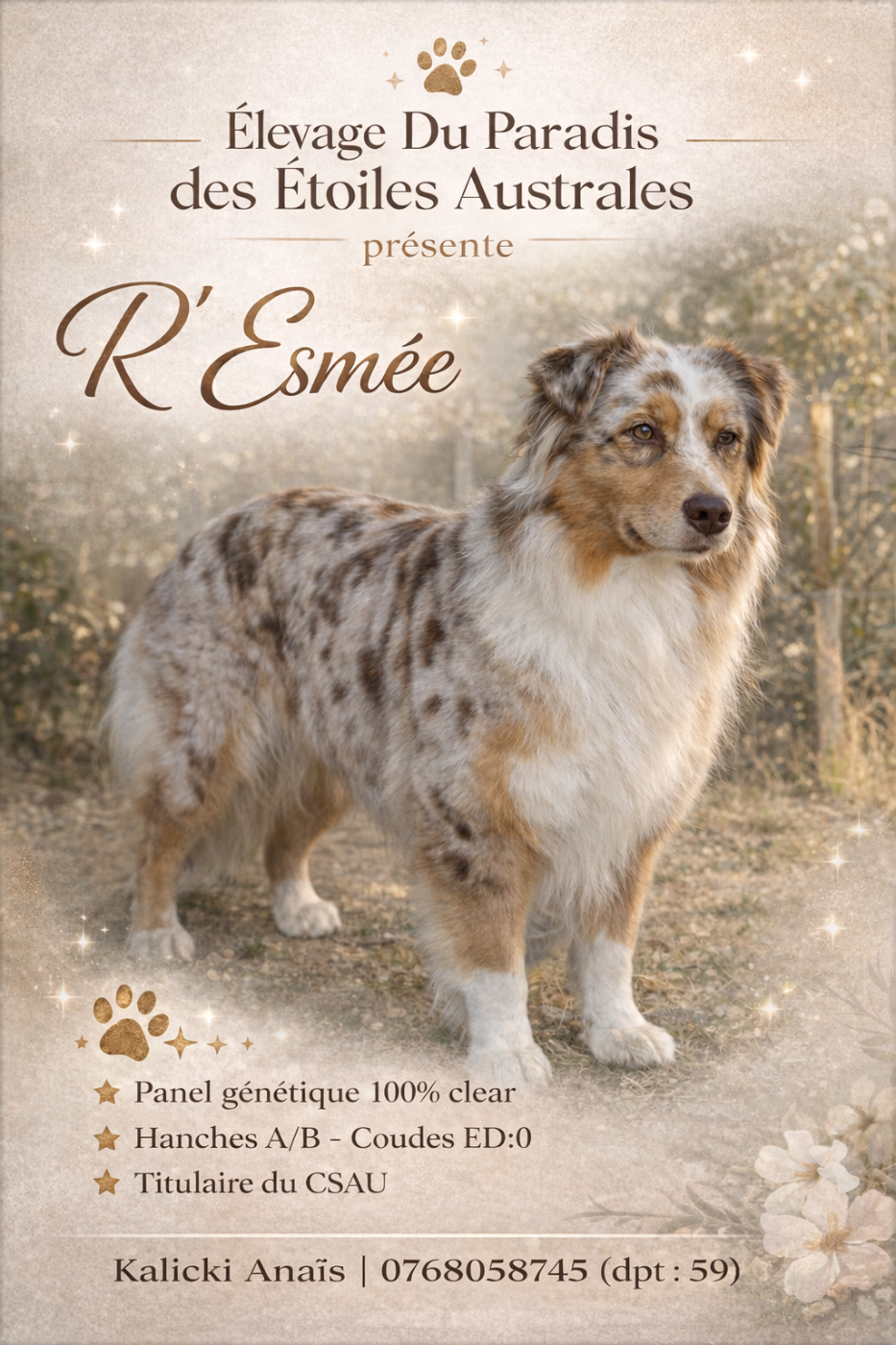 R esmee (Sans Affixe)